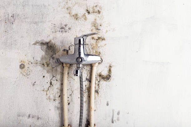 Best Mold Removal Specialists  in Marrero, LA
