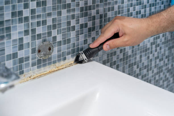 Best Fast Mold Removal  in Marrero, LA