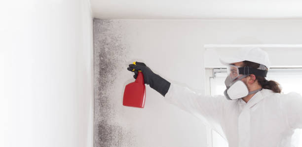 Best Mold Testing  in Marrero, LA