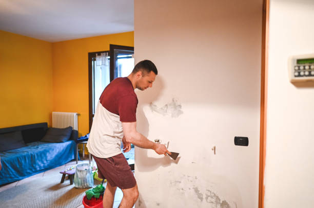 Best Mold Removal Company Near Me  in Marrero, LA