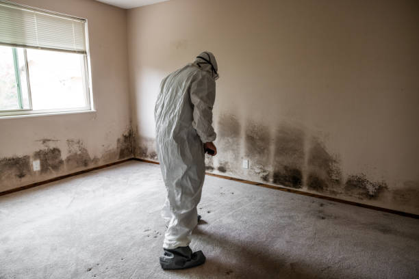 Mold Testing and Removal in Marrero, LA