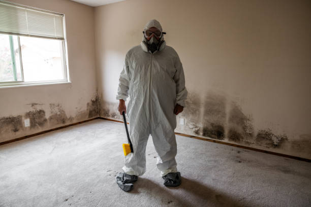 Best Commercial Mold Removal  in Marrero, LA