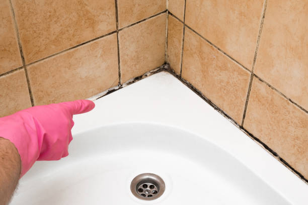 Best Mold Removal Near Me  in Marrero, LA